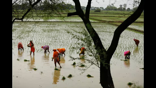 डोंगिया जलाशय बनेगा इकोटूरिज्म पर्यटन केंद्र: जयवीर सिंह