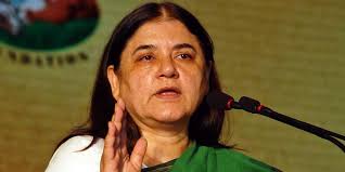 Lok Sabha Elections: सुल्तानपुर के मतदाताओं के लिए राम मंदिर नहीं, विकास है मुख्य मुद्दा, मेनका गांधी
