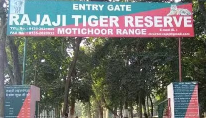 UK News: राजाजी टाइगर रिजर्व में पर्यटकों के भव्य स्वागत के साथ टूरिज्म के द्वार खुले